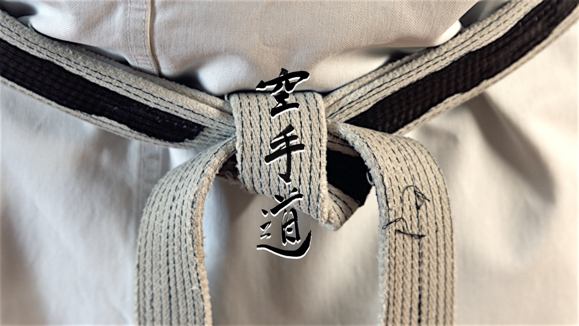 Karate “Hojo Undo”